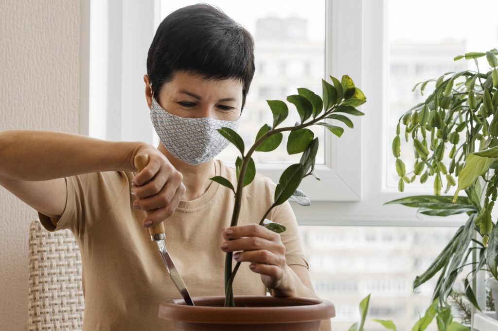 cómo cuidar tus plantas para que vivan más tiempo2