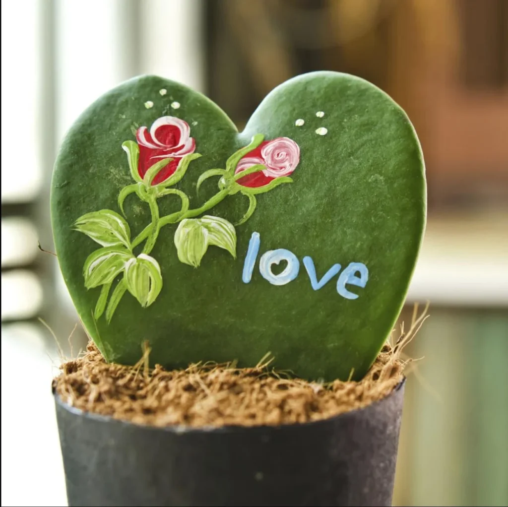 el mejor día para regalar una planta
